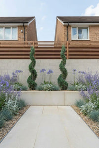 Showcase · Symmetrical entrance path leading to the twin cypress spirals under a clear blue sky