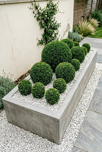 Showcase · Angled view of the trough, the balls stepping from small at the front to large at the back