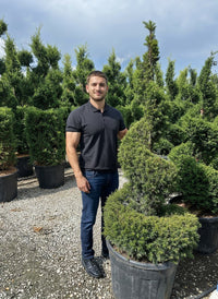 Nursery · A team member stands beside potted yew topiary at the nursery, clipped columns ranged behind.