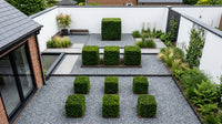 Showcase · Aerial view of the courtyard with yew cubes ranked across grey gravel and paving