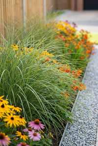 Foliage Close Up · Maiden grass leaning in fine green blades over the hot border and gravel margin