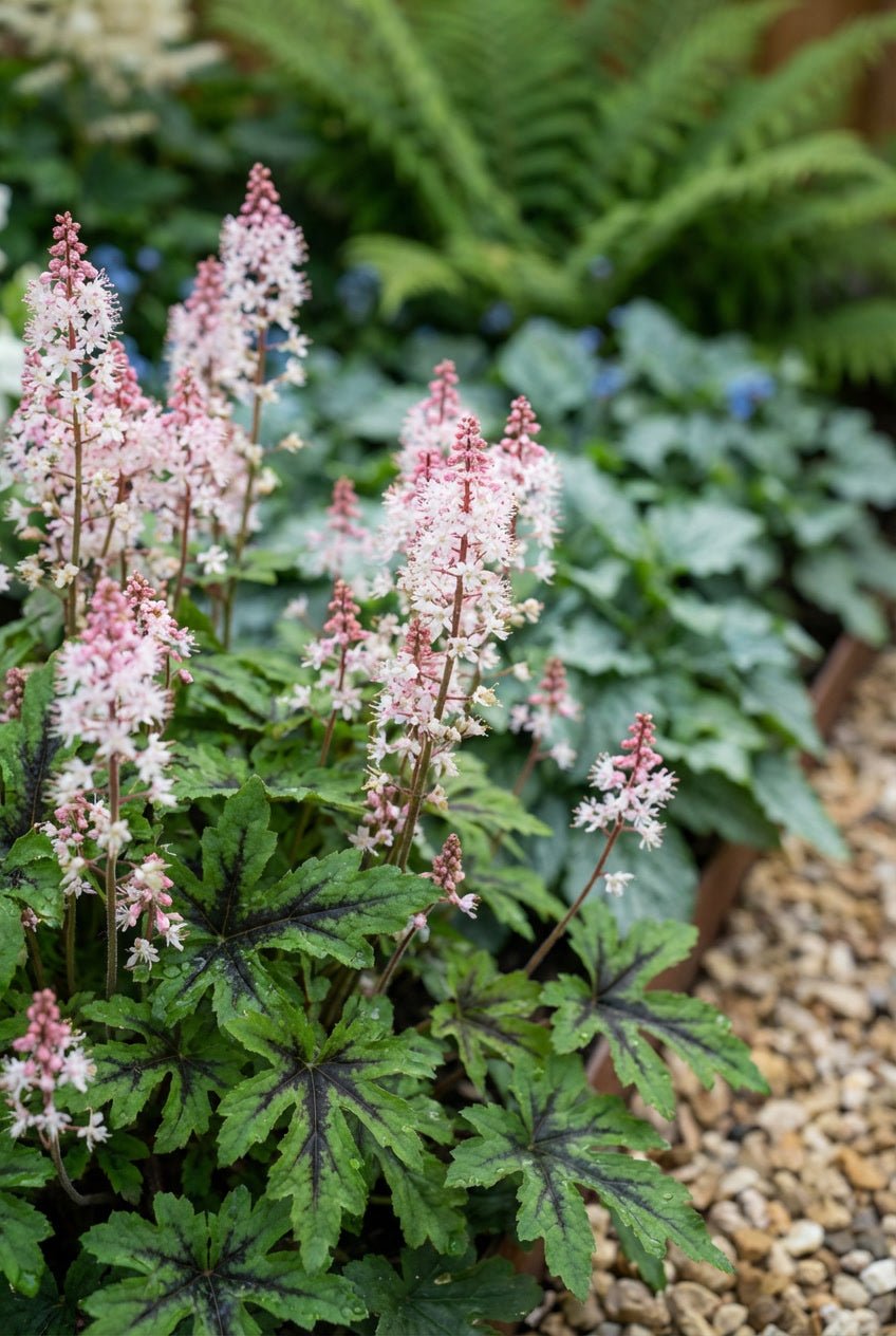 The Woodland Edge — Entrance Transformation Bundle with English Yew Ball Topiary Pair