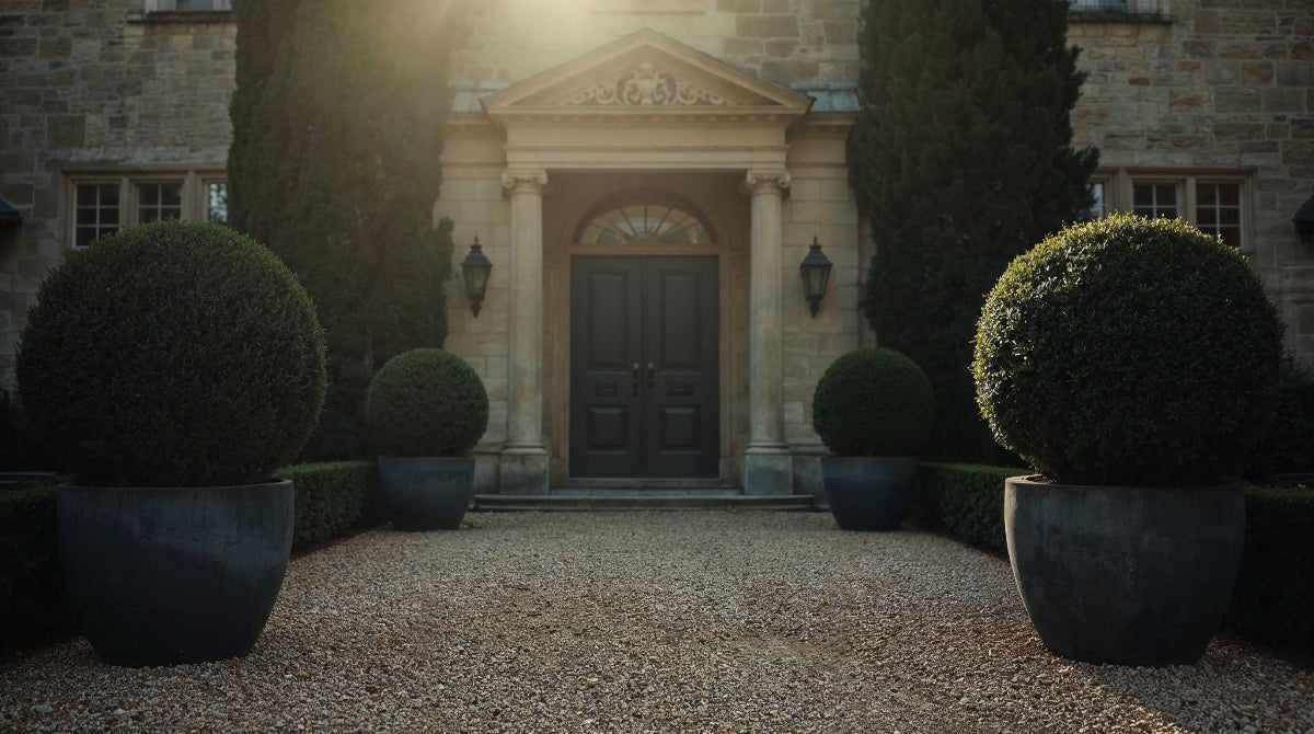 Elegant yew topiary pairs framing stone entrance — timeless geometry at golden hour.